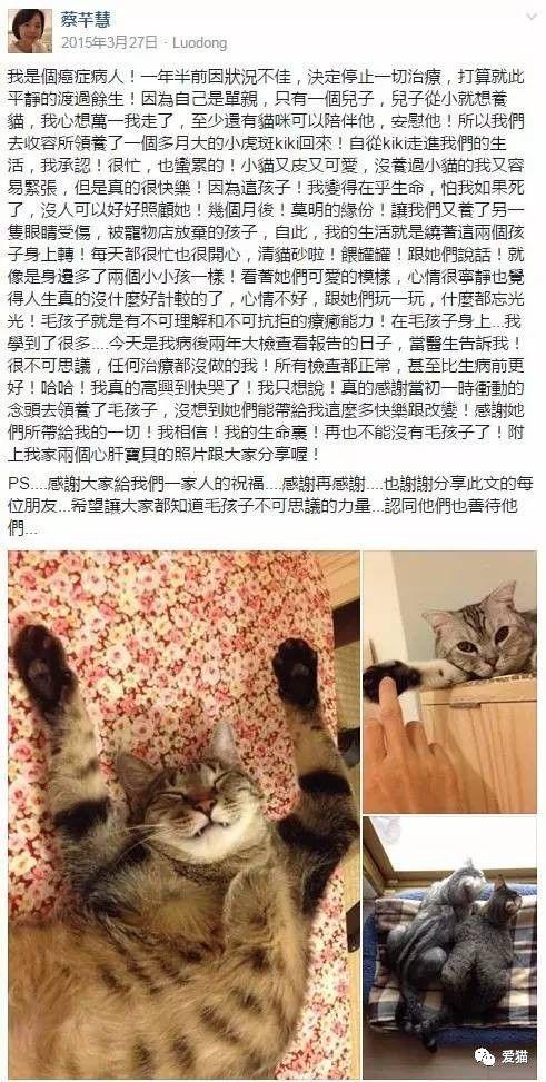 研究称养猫能防癌,好处真太多了!-微刊