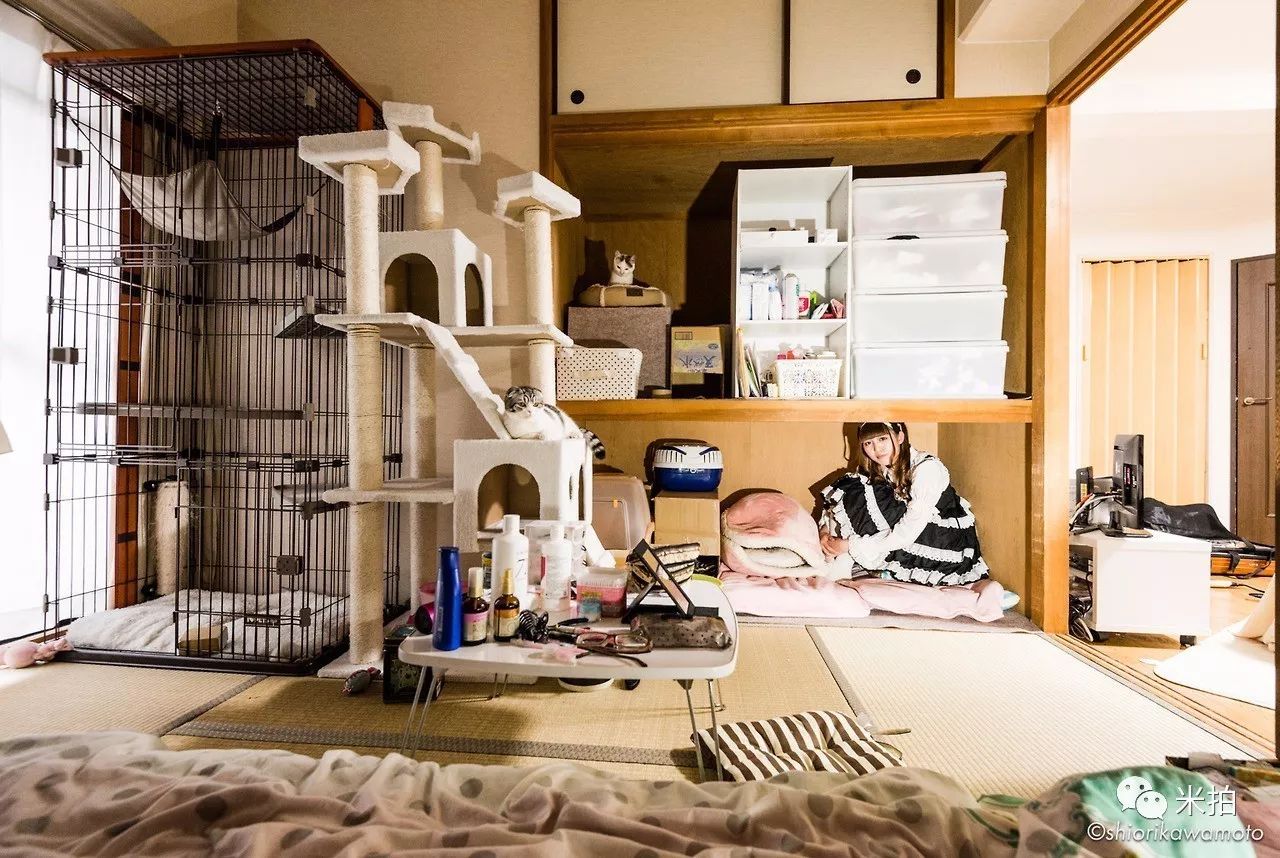 5年时间，他窥探了100位日本宅女的私密空间…-微刊
